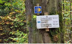 Raue Tage
